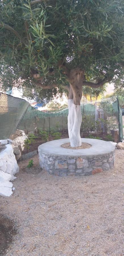 Petroula Apartments II Emborios Dış mekan fotoğraf